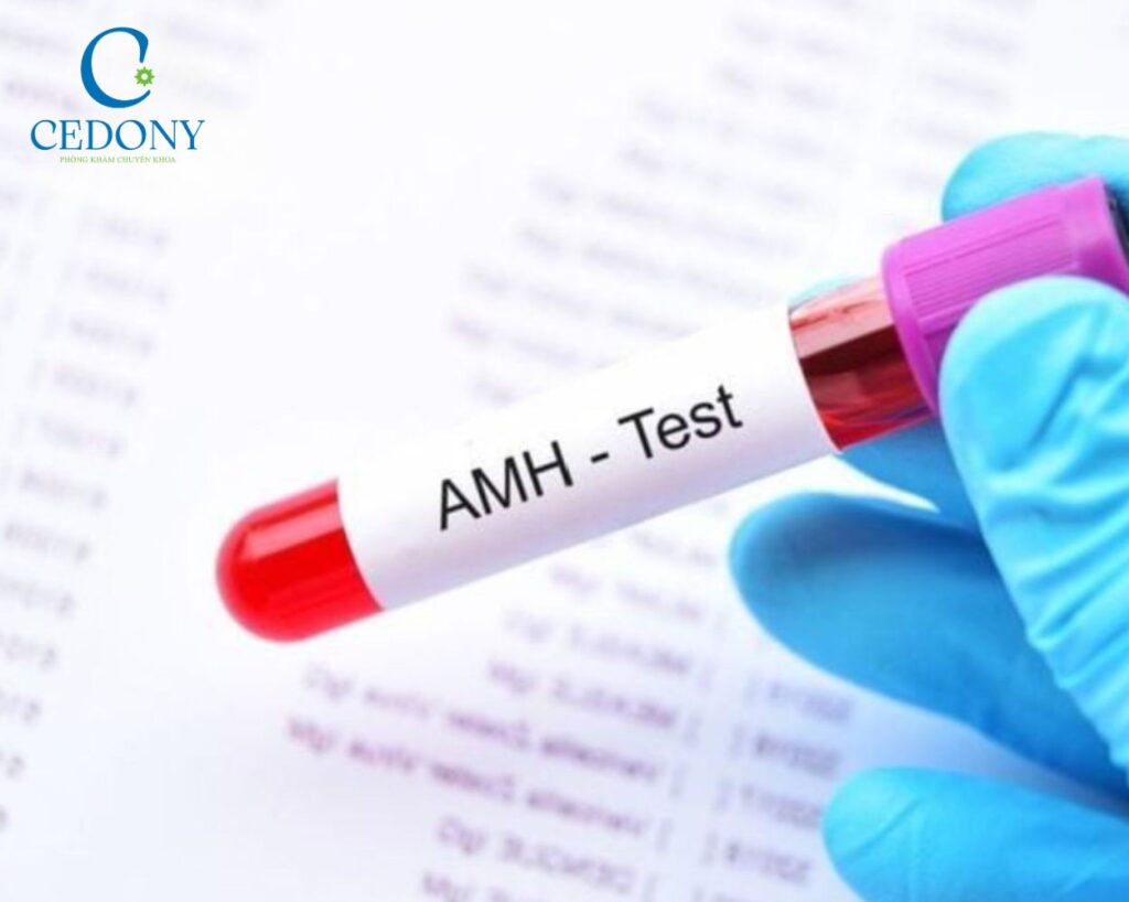 Thực hiện test đánh giá chức năng buồng trứng ở phụ nữ là cần thiết