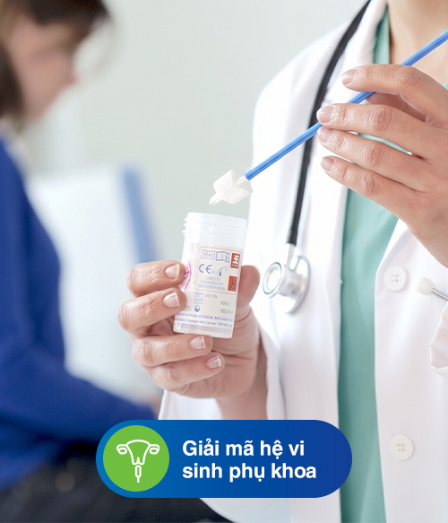 Giải mã hệ vi sinh phụ khoa