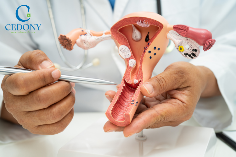 Tái tạo niêm mạc nhằm phục hồi tổn thương do HPV