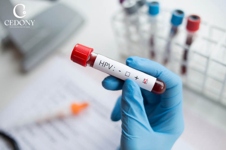 Thực trạng nhiễm virus HPV ở Việt Nam đang ngày càng gia tăng