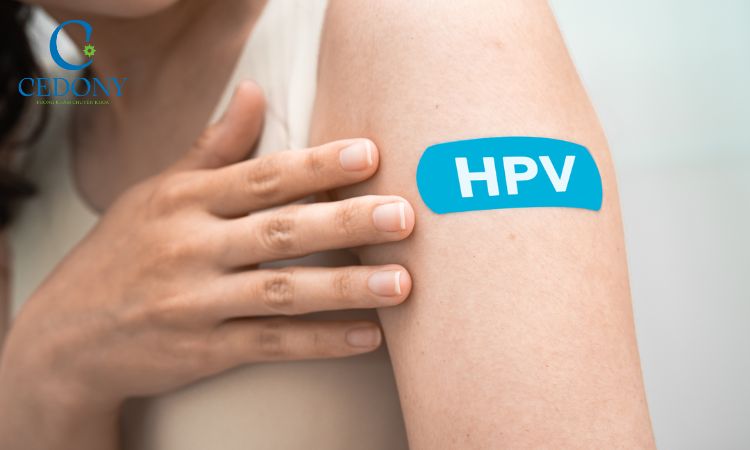 Một số loại HPV sẽ chuyển biến thành ung thư cổ tử cung